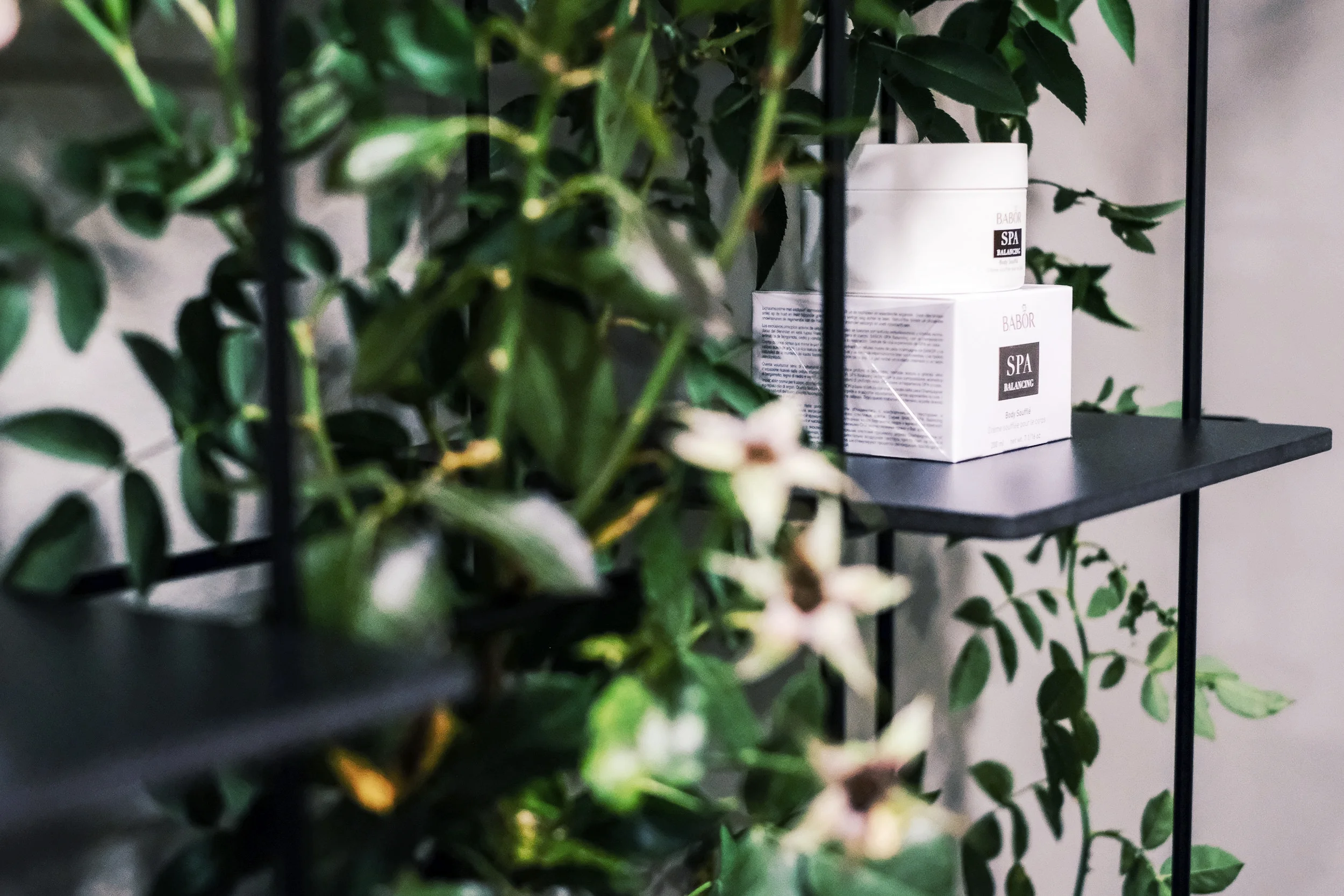 20180830ConceptStore-092 Kopie.jpg