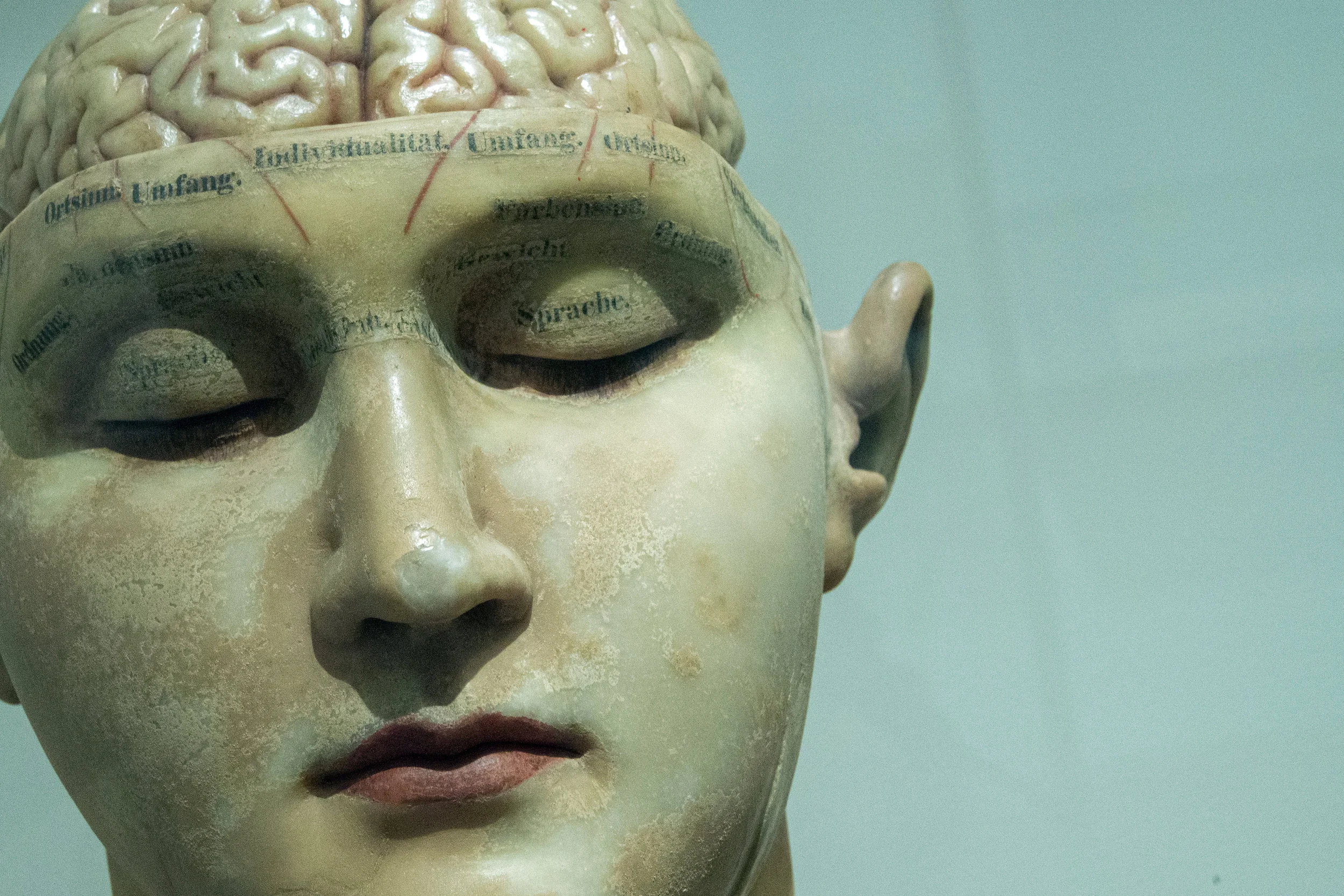 Who am I? Bioartists exploring identity with their own brains, DNA and bacteria