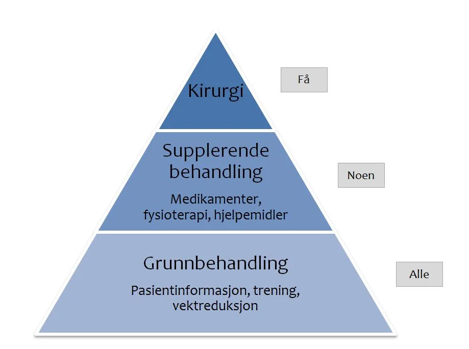 behandlingspyramide.jpg