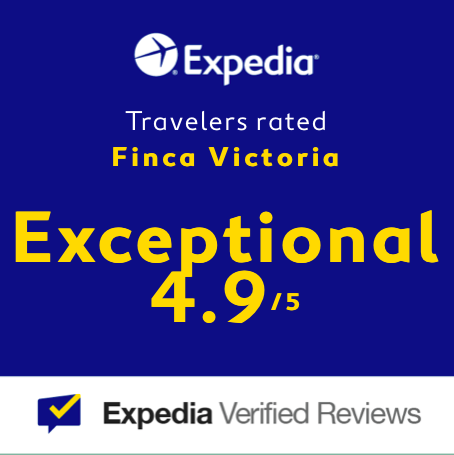 Screen Shot 2020-02-12 at 18.55.46.png