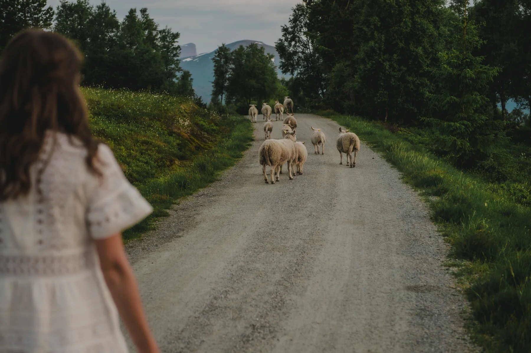 Fotograf Kristine Hellemo_wedding norway_fjellbryllup_-436.jpg