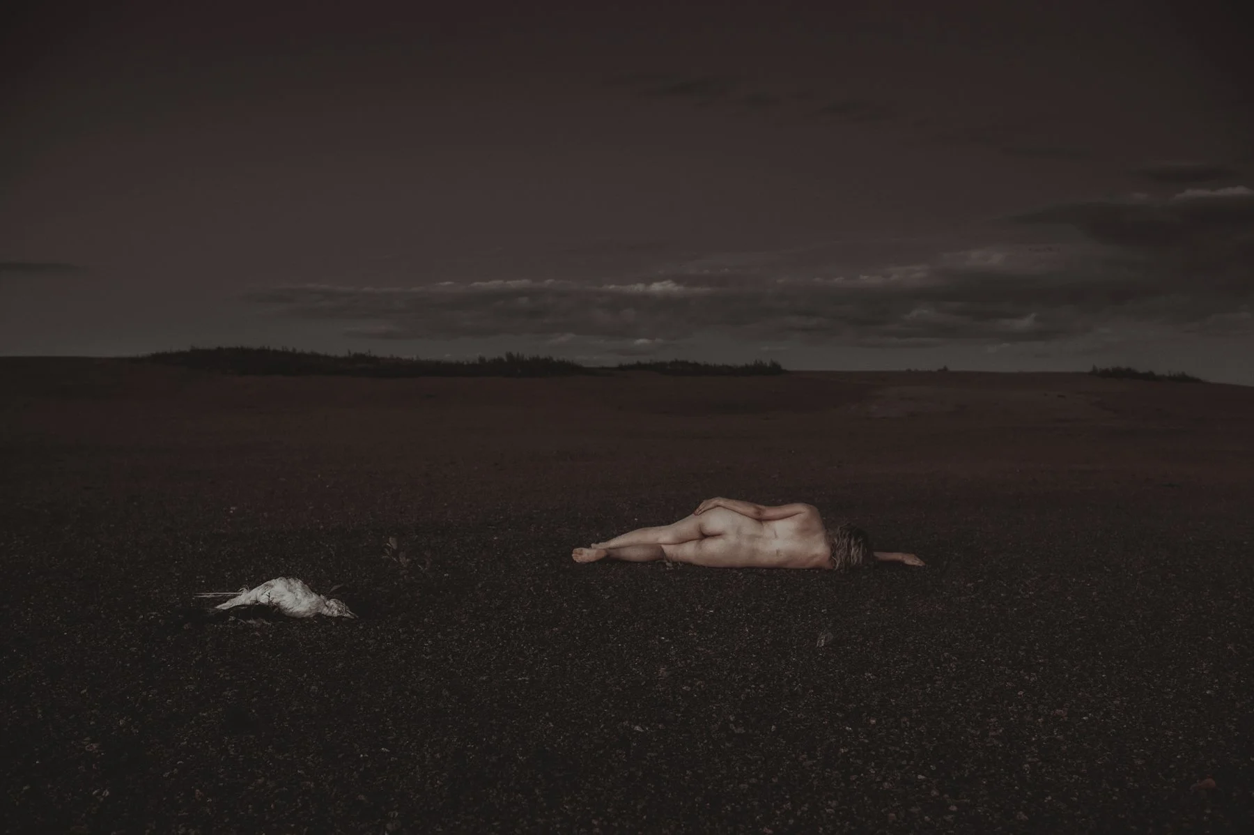 Fotograf Kristine Hellemo_aktfoto-5703.jpg