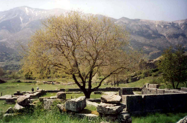 The site of Dodona