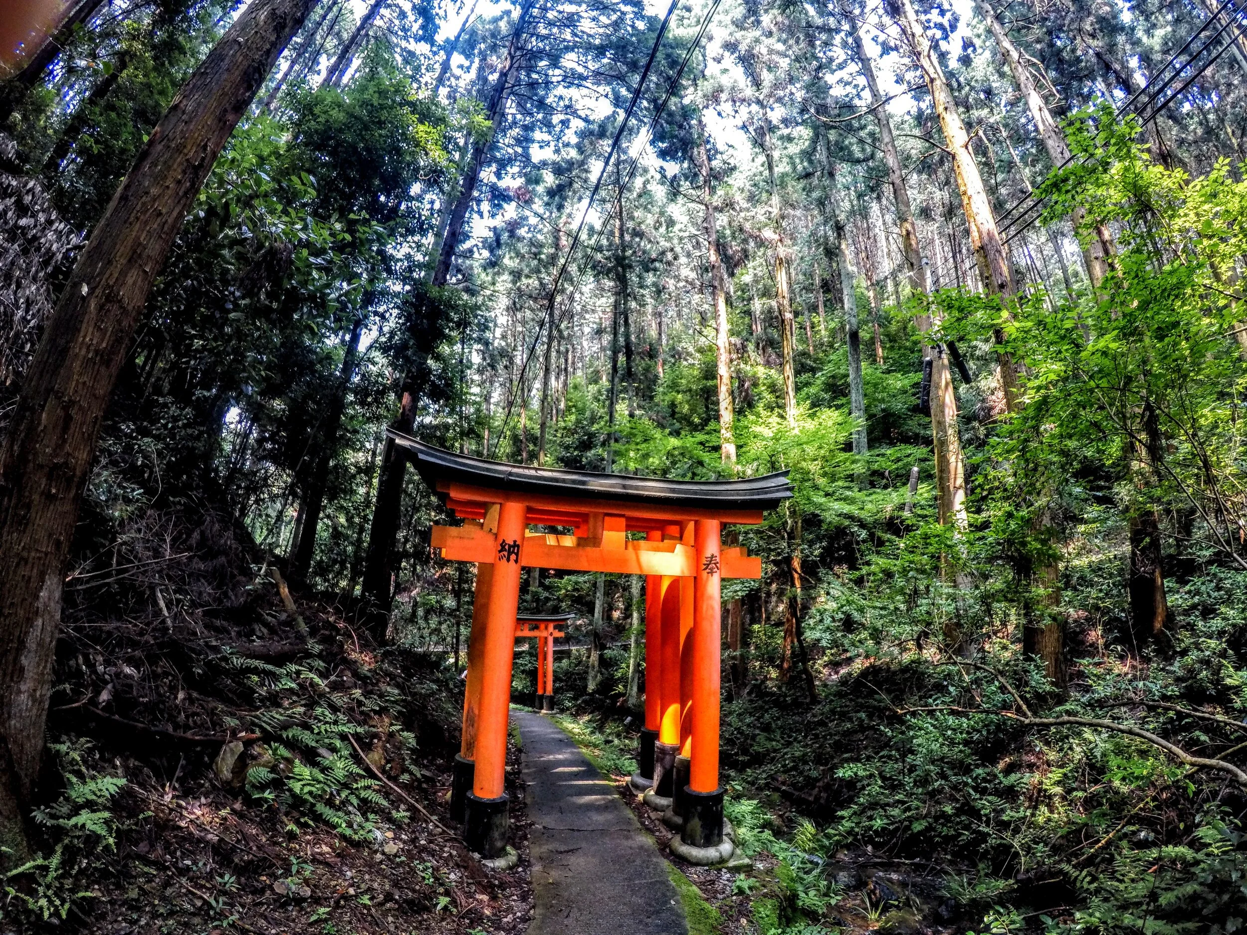 Coin Laundry: Ambling through Kyoto and Hiroshima