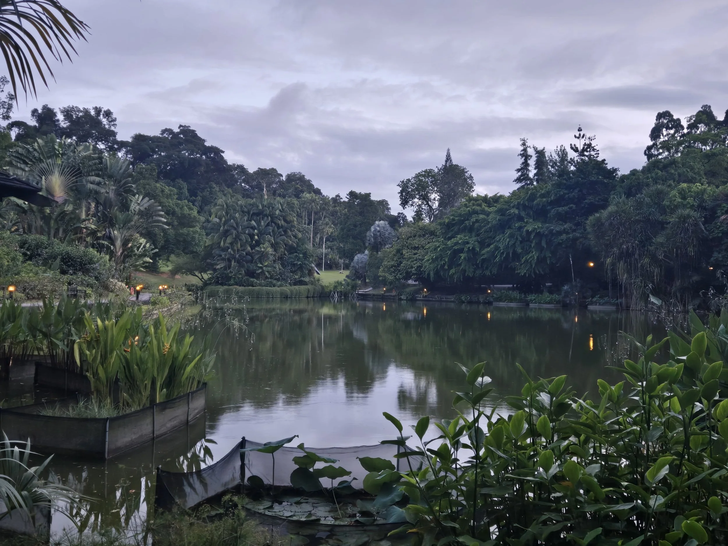 SingaporeGarden.jpg