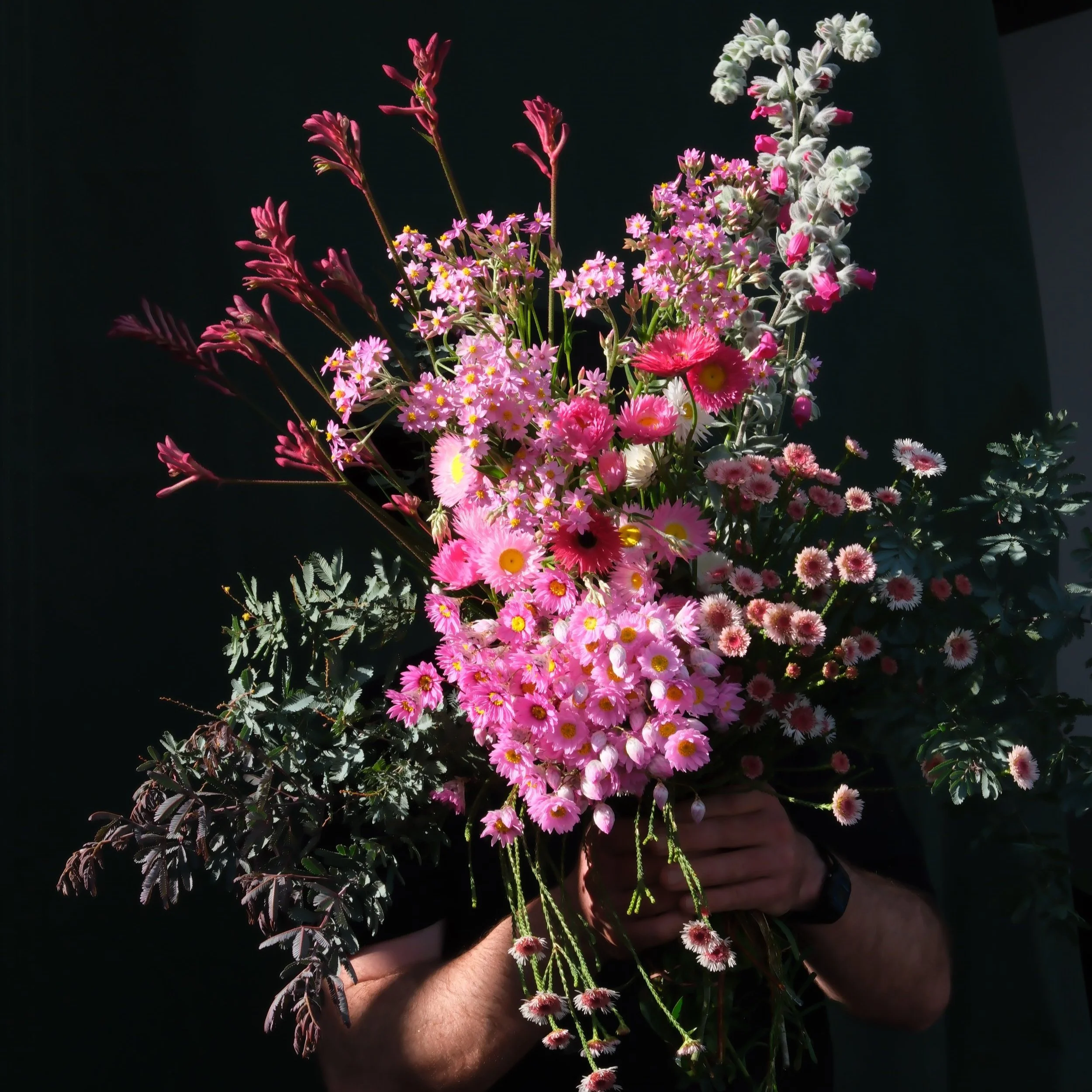 DSCF6856.jpg