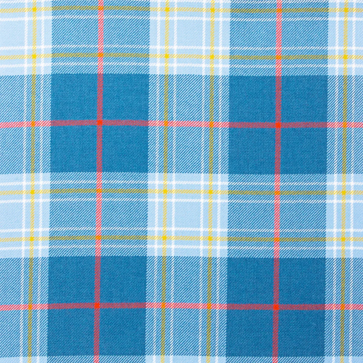 CTRV-MUS-Musselburgh-Reiver-Tartan-Front1-72dpi-RGB.JPG