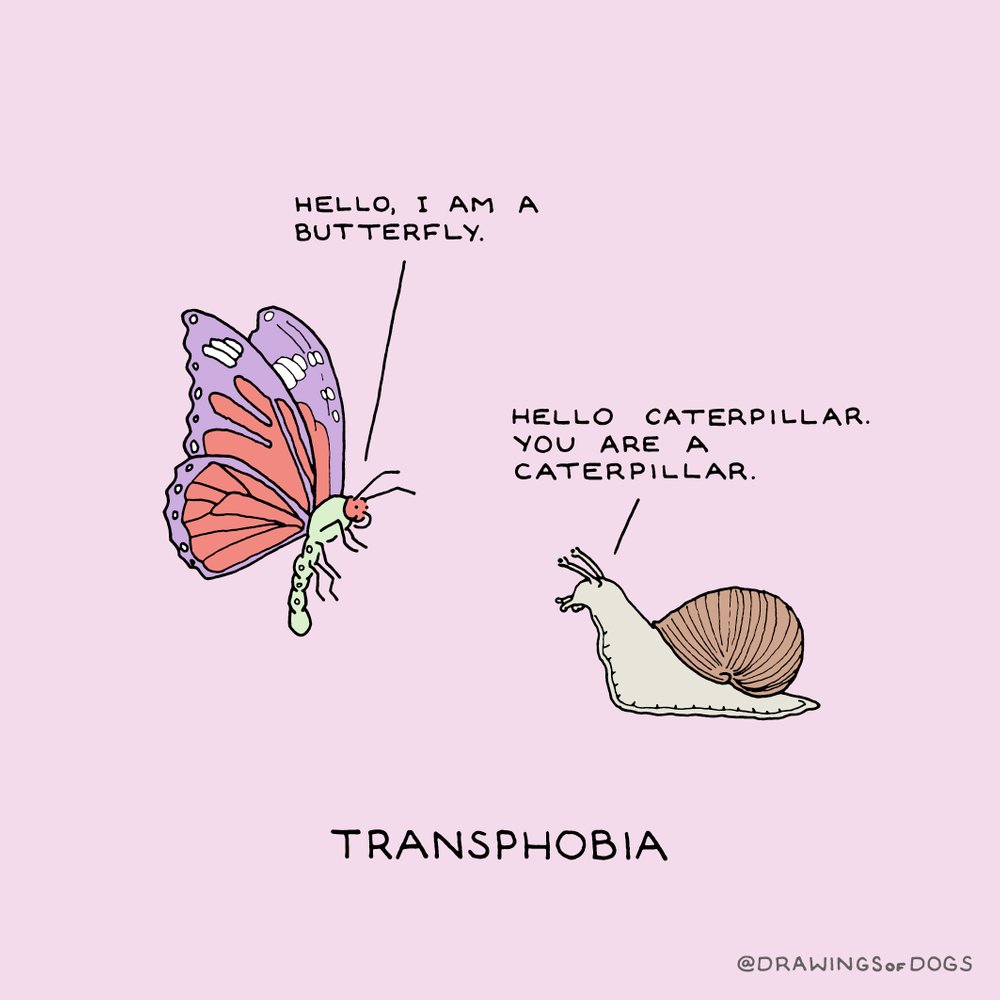 Transphobia print.jpg