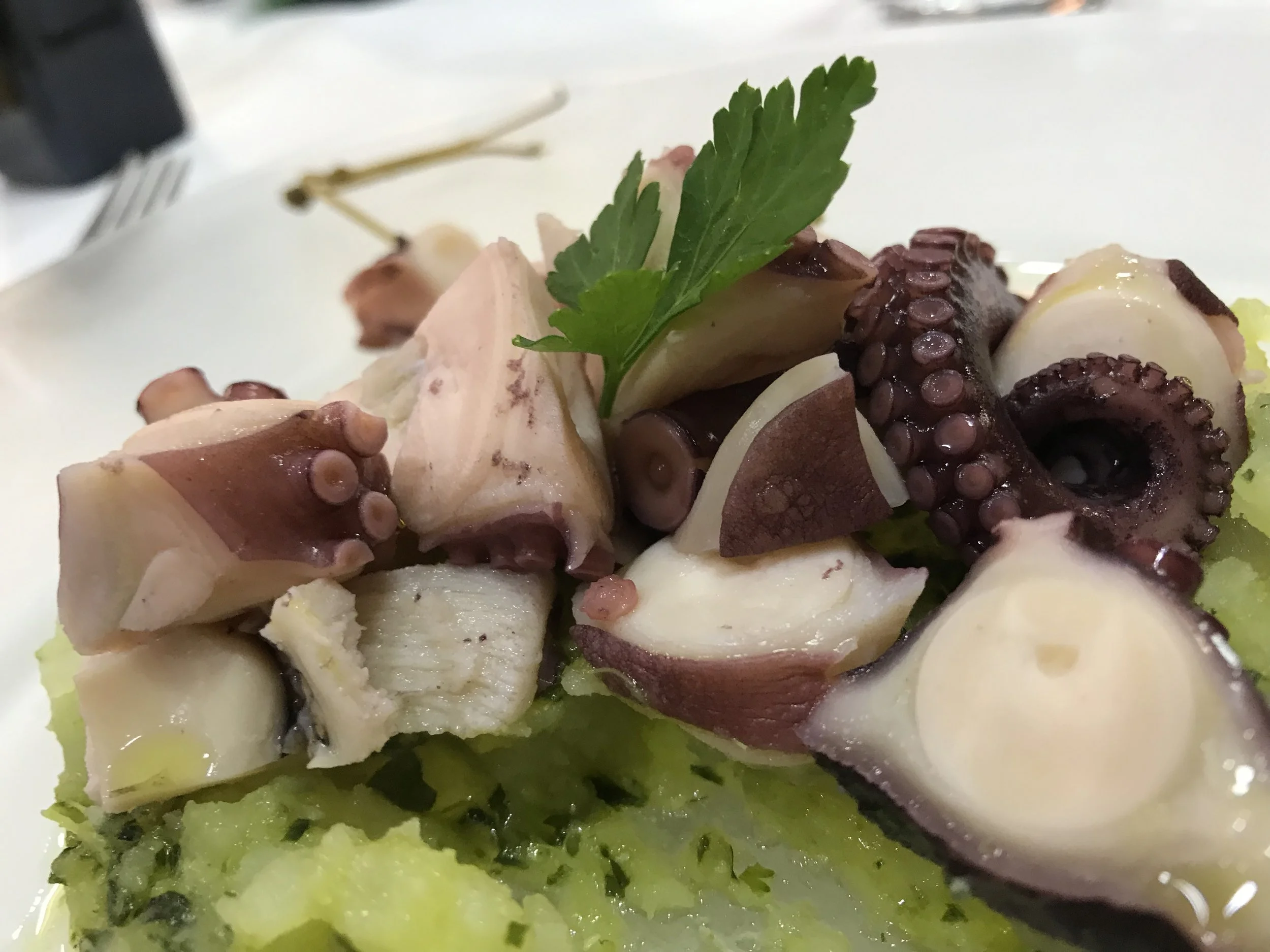 Tentacles of delight