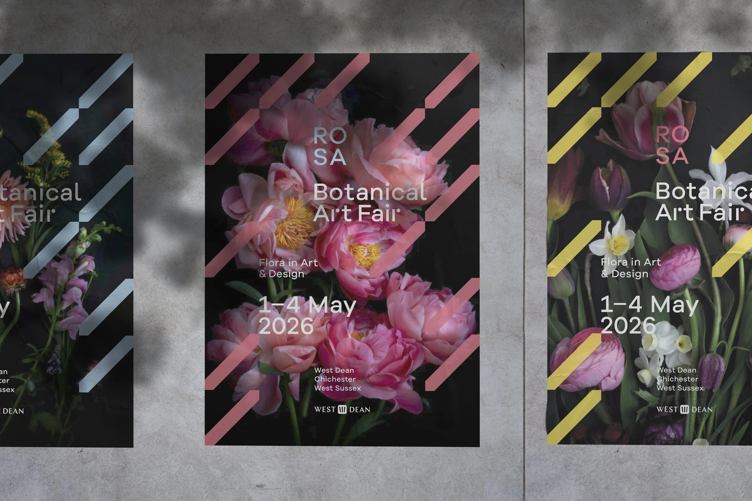 ROSA Botanical Art Fair poster