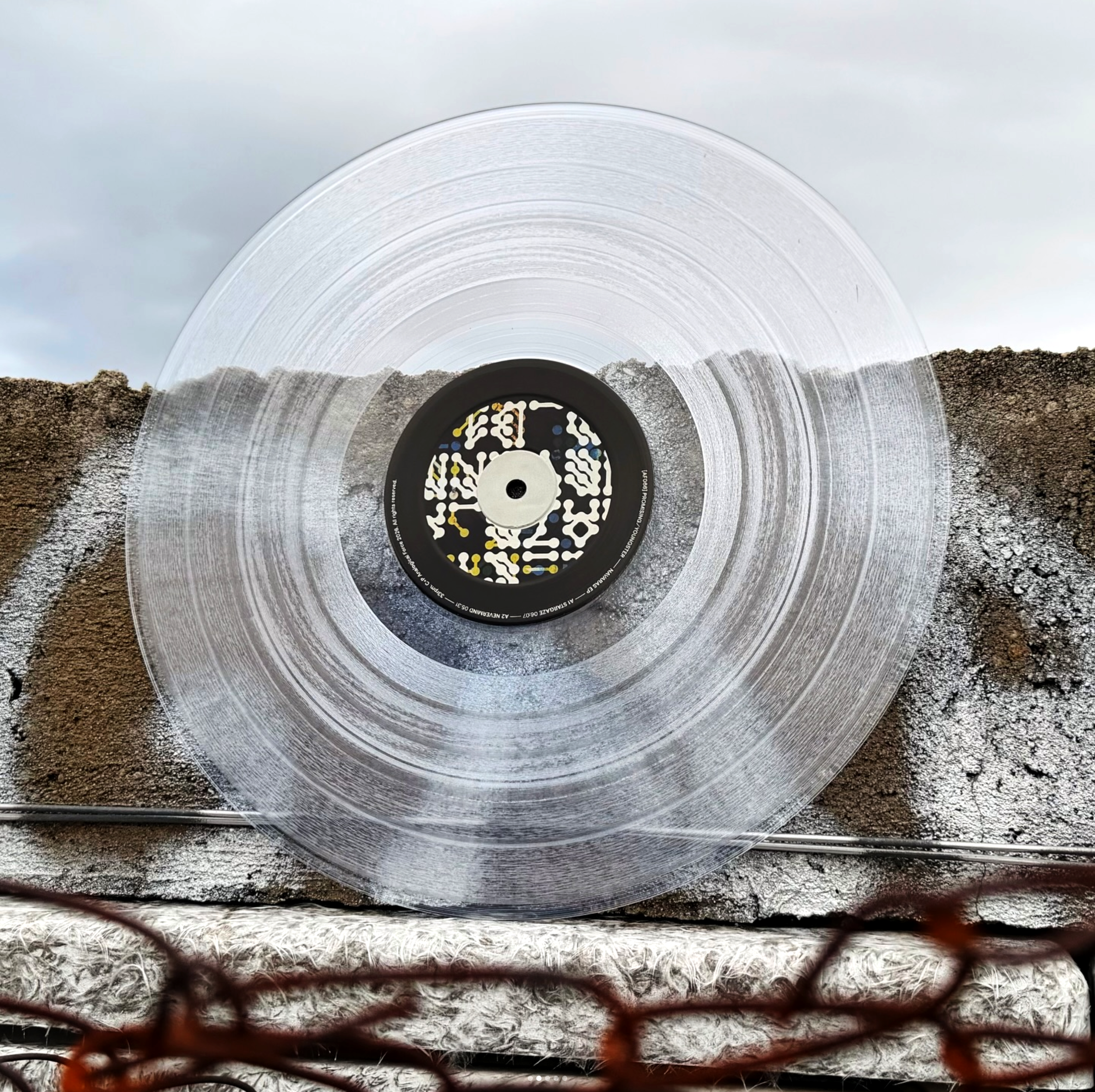 Promising/Youngster vinyl