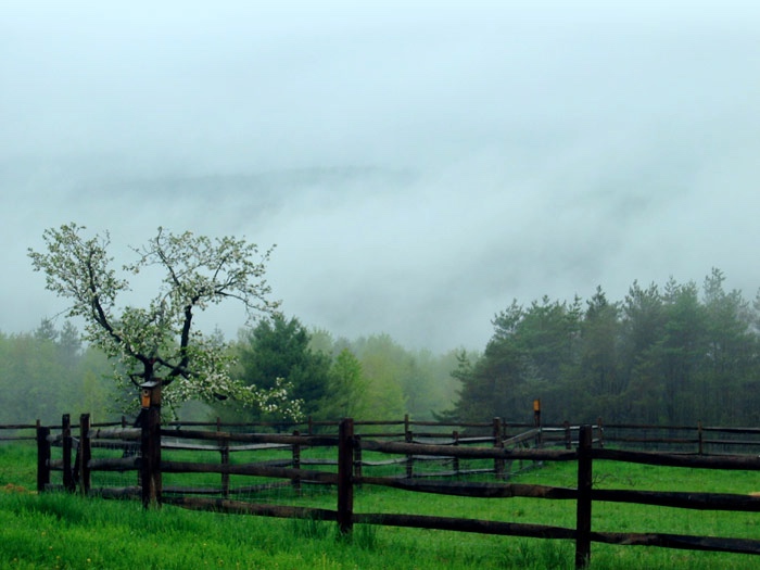fence-photo700.jpg