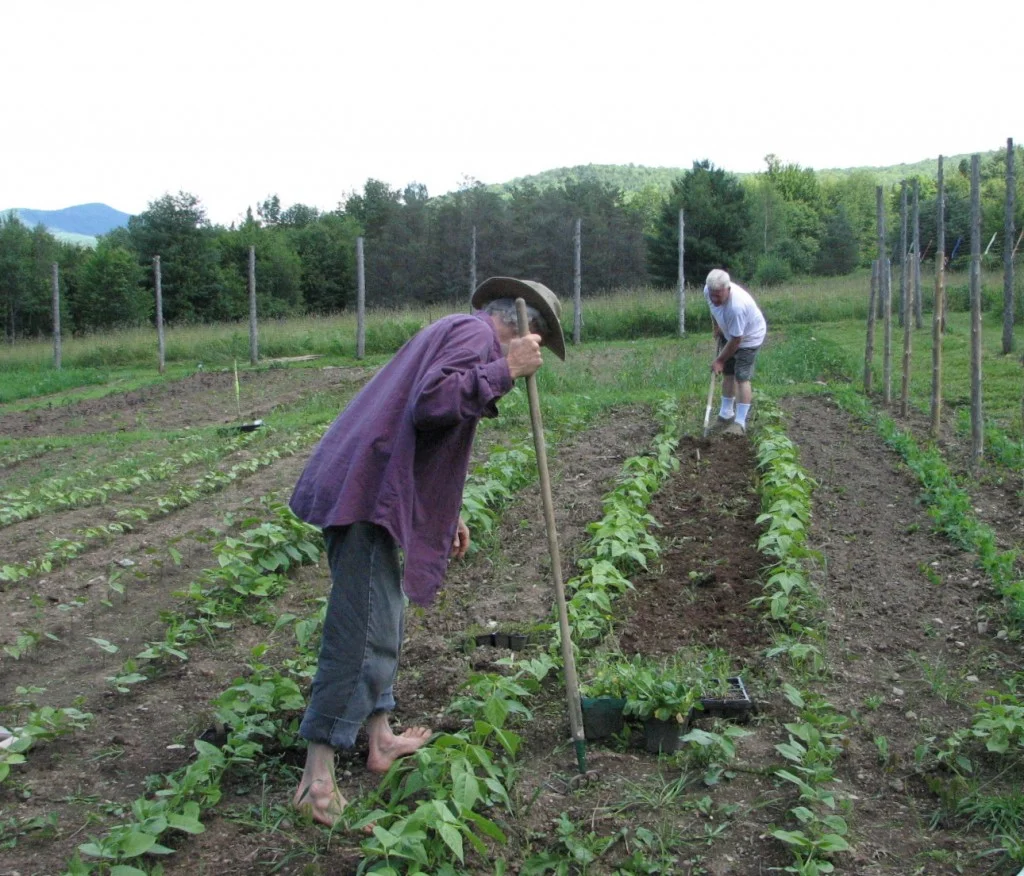 inch-by-inch-row-by-row-someone-bless-these-seeds-I-sow_2_2-1024x876.jpg