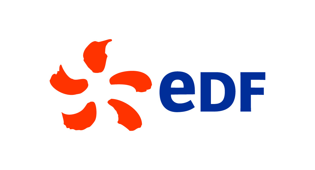 Logo EDF 2015 .jpg