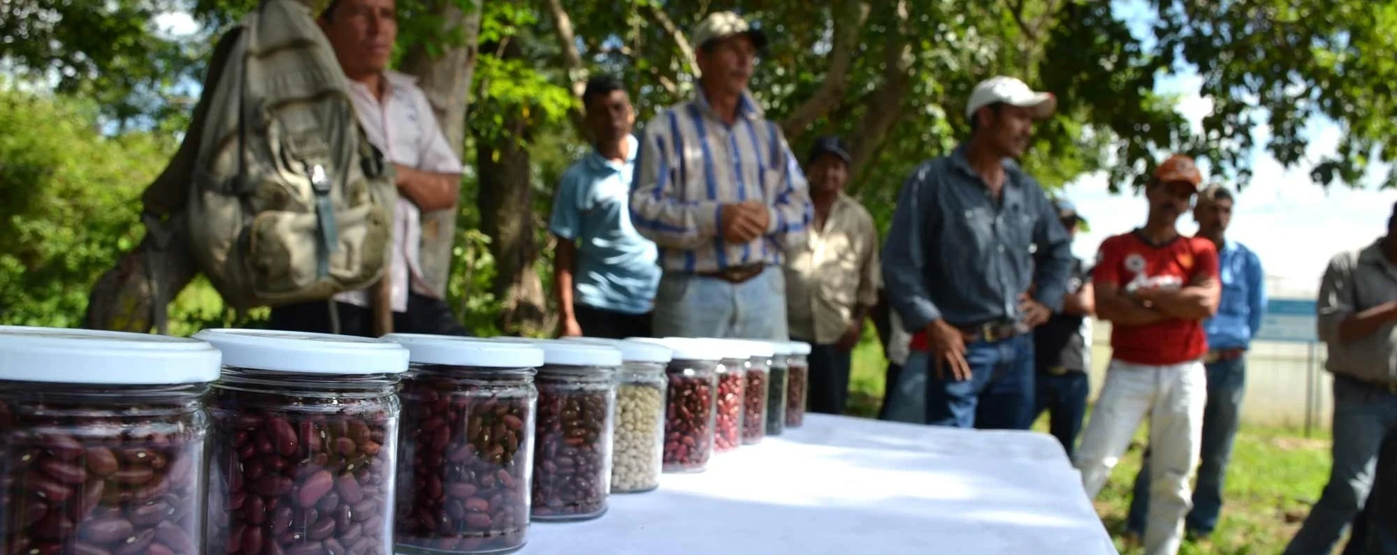 Planting Seeds to Cultivate Change 