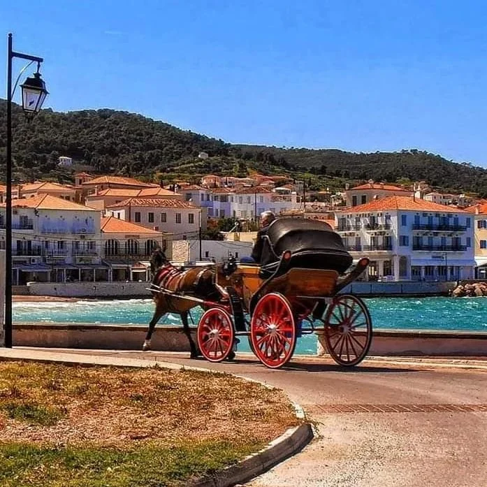 unknown_279526150_518274963235429_1368598784138971430_n.jfif