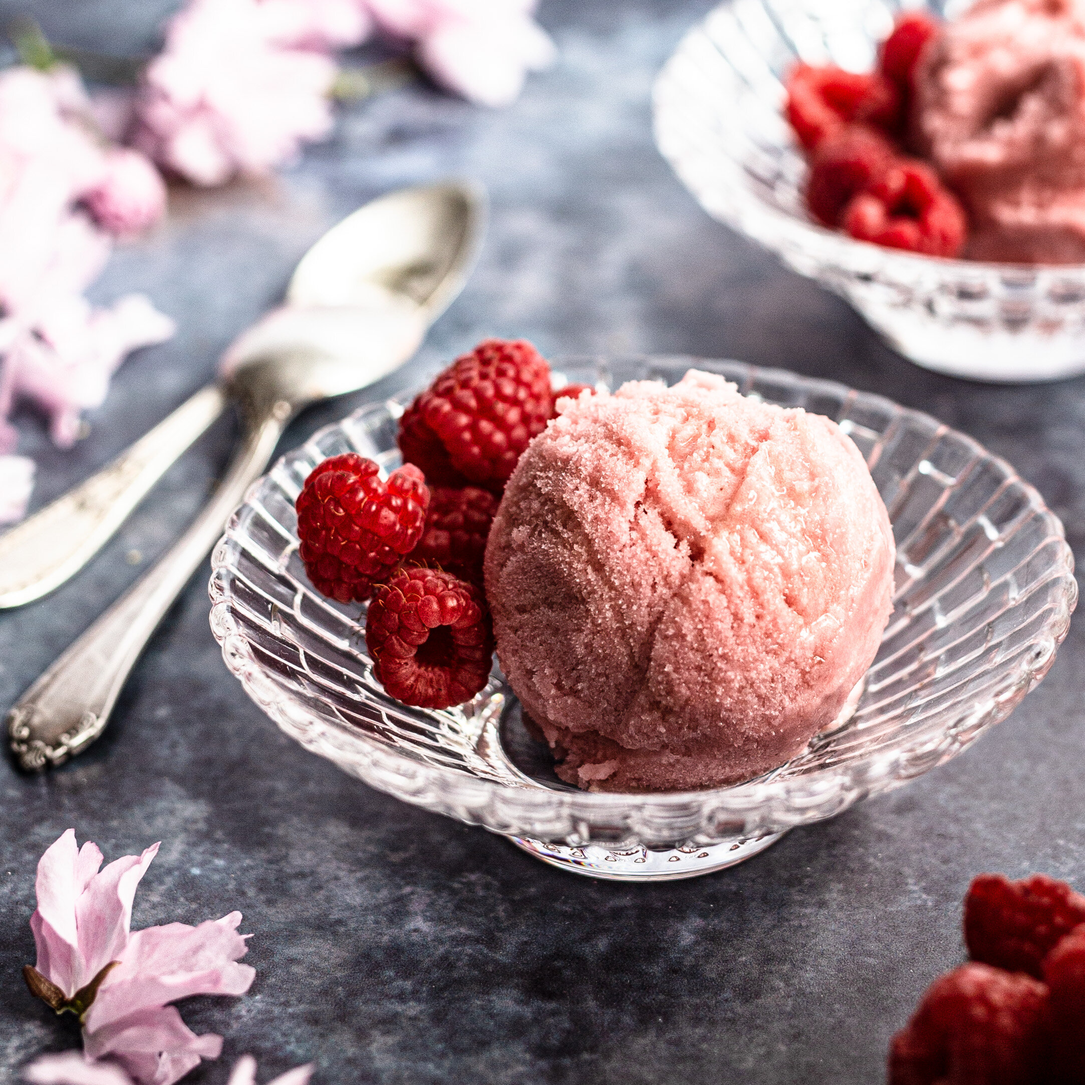 Rhabarber-Himbeer Sorbet - Super cremig und vegan - Klara &amp; Ida