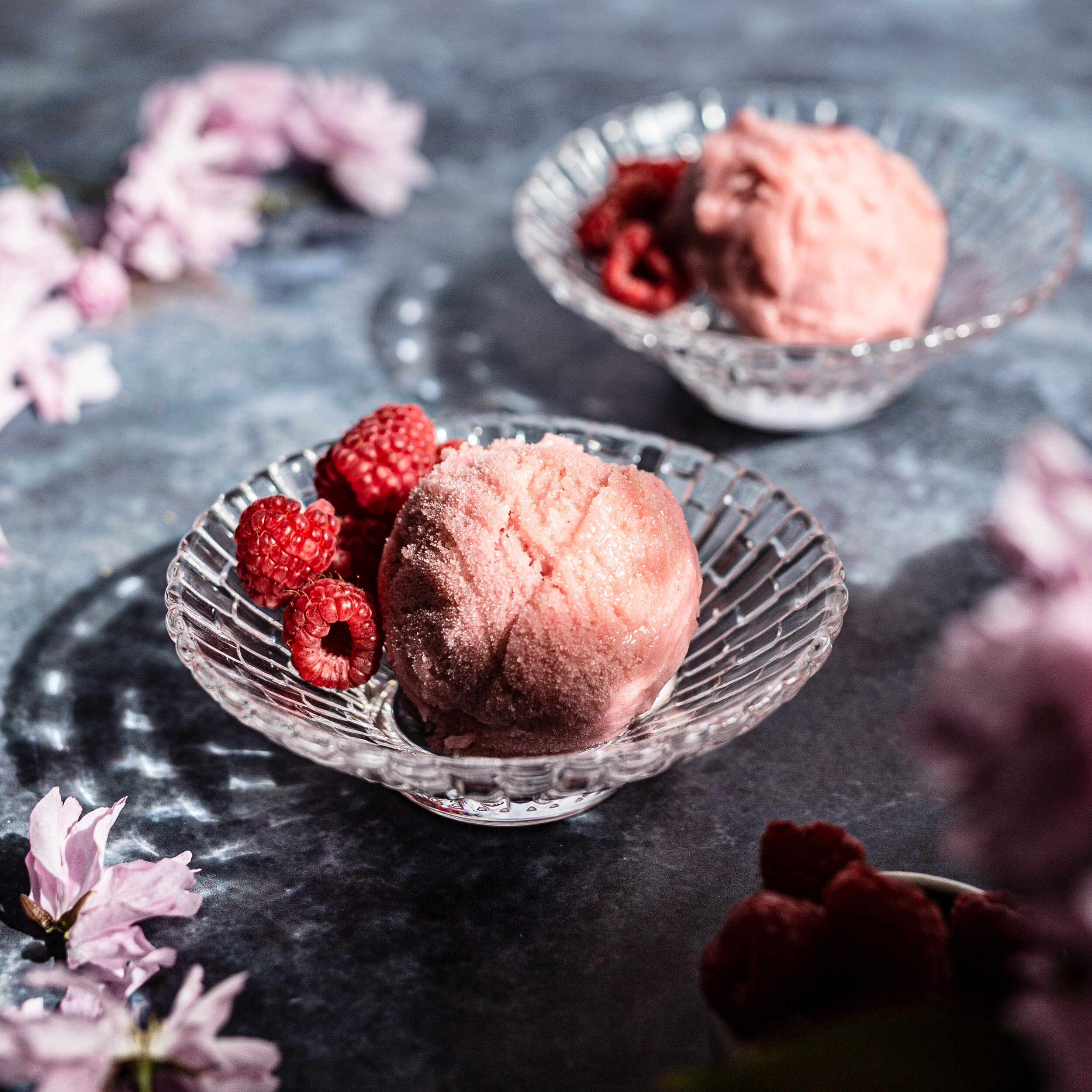 Rhabarber-Himbeer Sorbet - Super cremig und vegan - Klara &amp; Ida