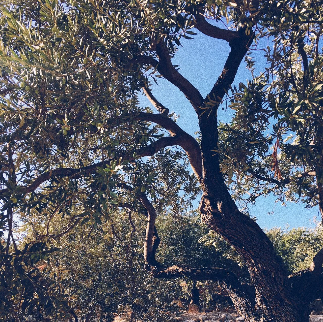 WhatsApp Image 2018-09-25 at 13.31.23.jpeg