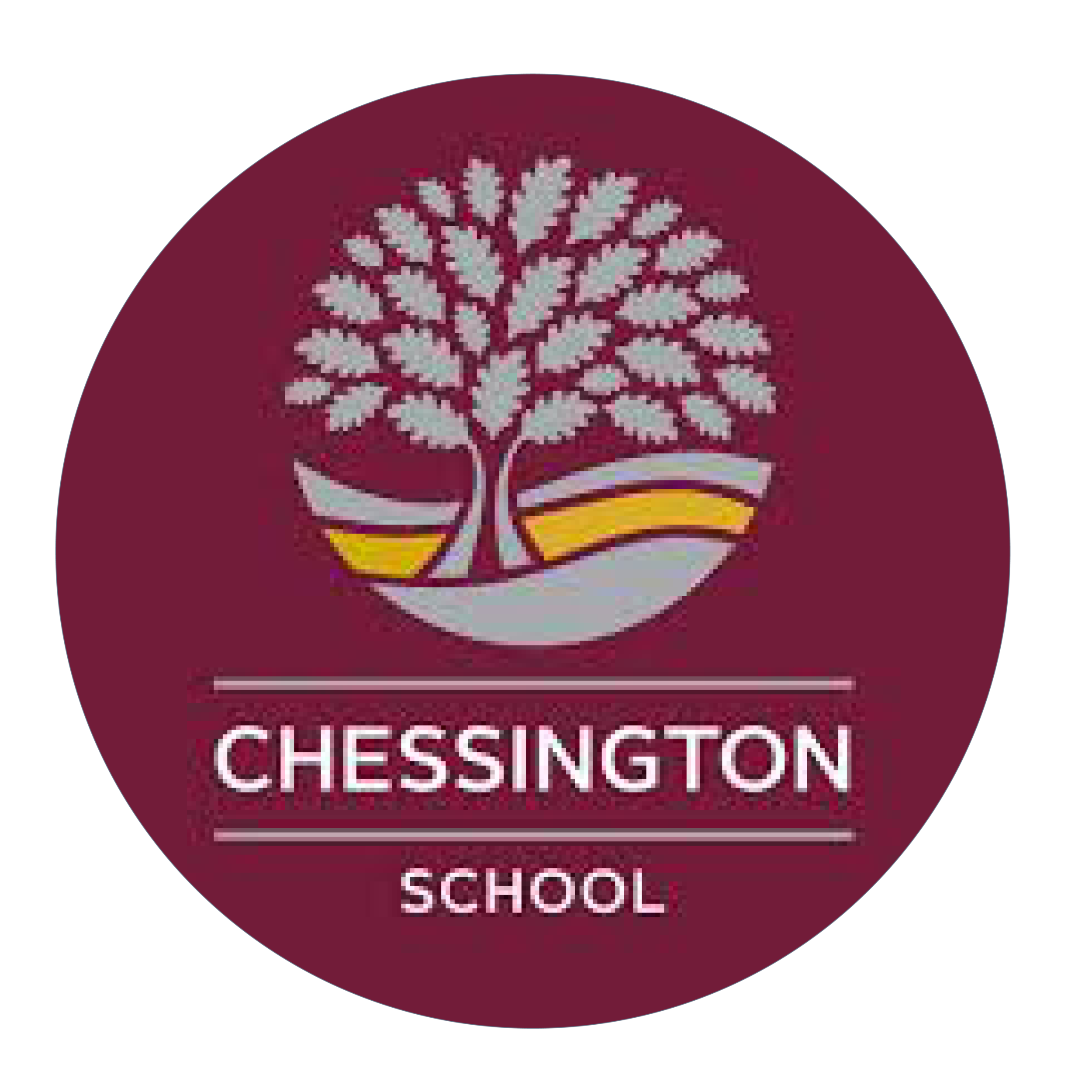 Chessington School