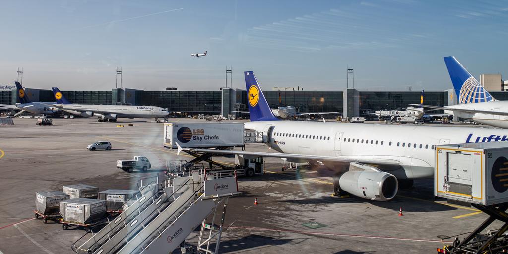lufthansa got.jpg