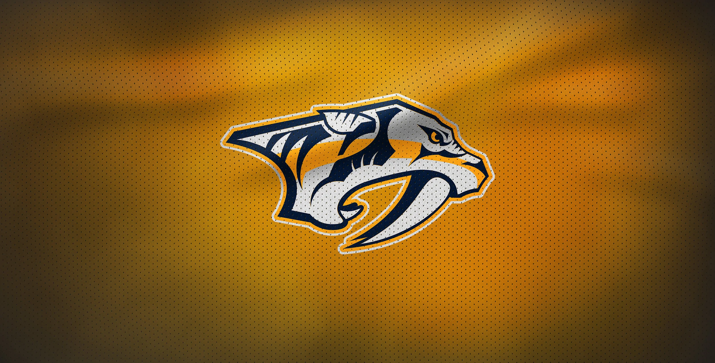 Nashville Predators och Tennessee Titans I Nashville med omnejd finns två lag i de högsta ligorna i USA - Predators i NHL och Titans i NFL. Nashville Predators är hem för flera svenska spelare i Mattias Ekholm, Viktor Arvidsson, Filip Forsberg och Calle Järnkrok. Andra stjärnor är den finländske målvakten Pekka Rinne, centern Matt Duchene och backarna PK Subban och Roman Josi. Laget har ännu inte vunnit Stanley Cup. Titans var i Super Bowl 2000, men föll mot Saint Louis Rams.