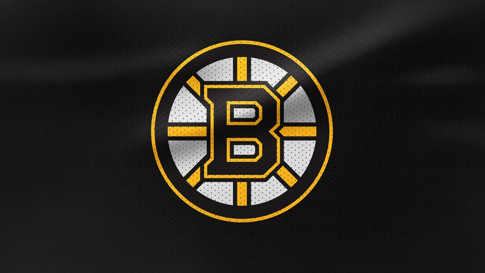 bostonbruins_supremetravel.jpg