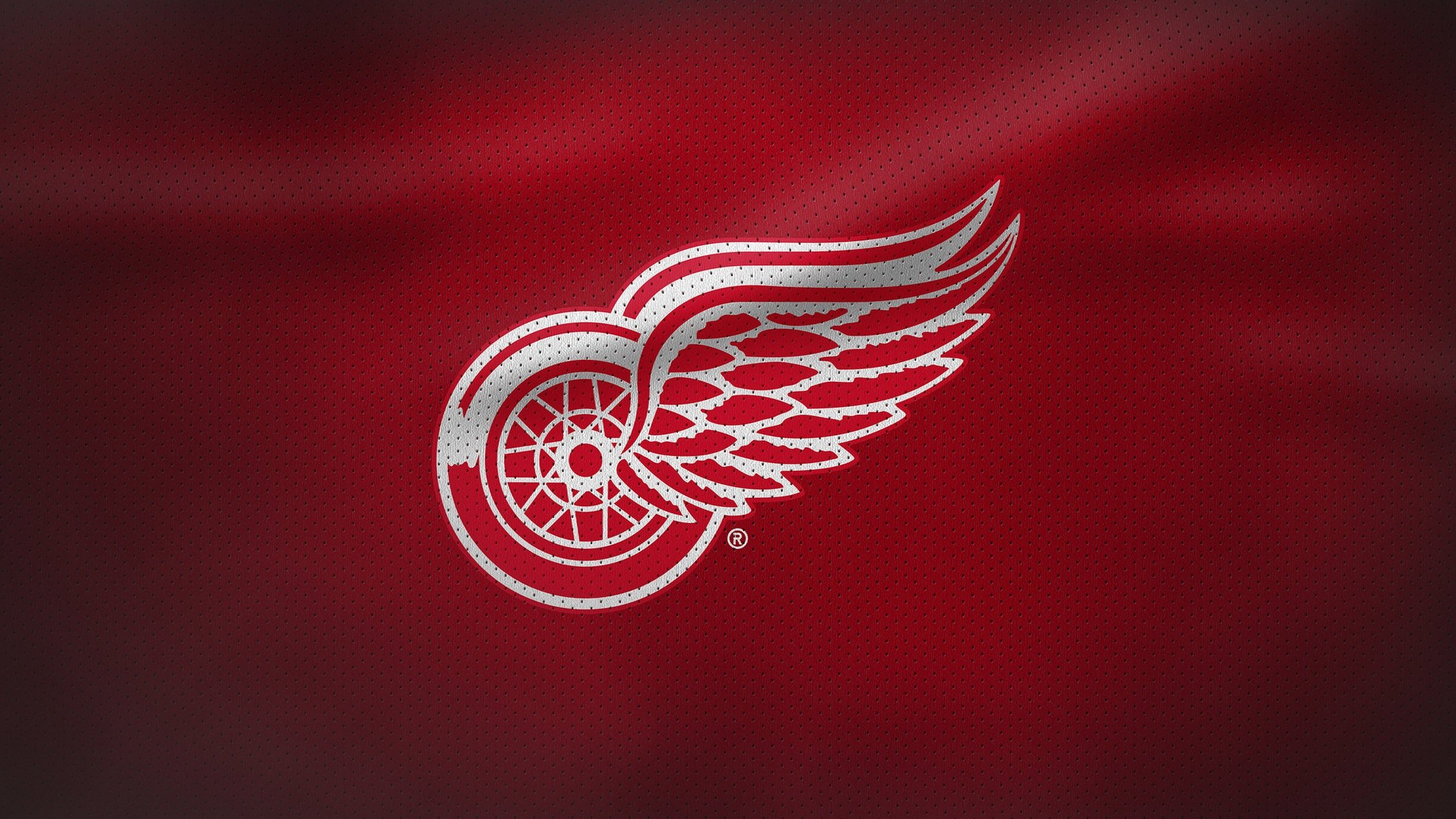 Detroit red wings