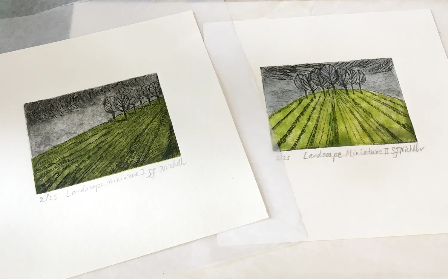 Miniature Landscapes web.jpg