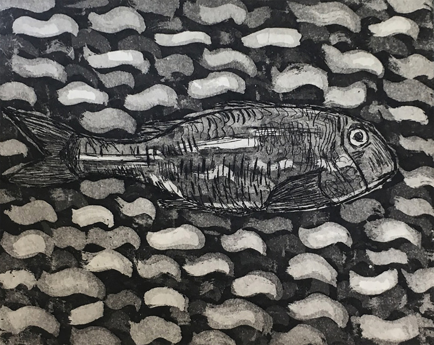 Grey Mullet - aquatint/drypoint
