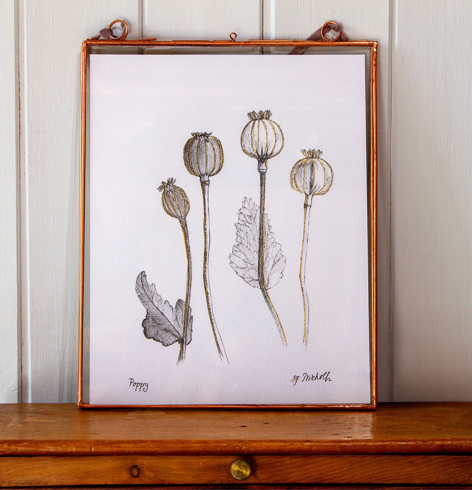 Poppies Plant Portrait