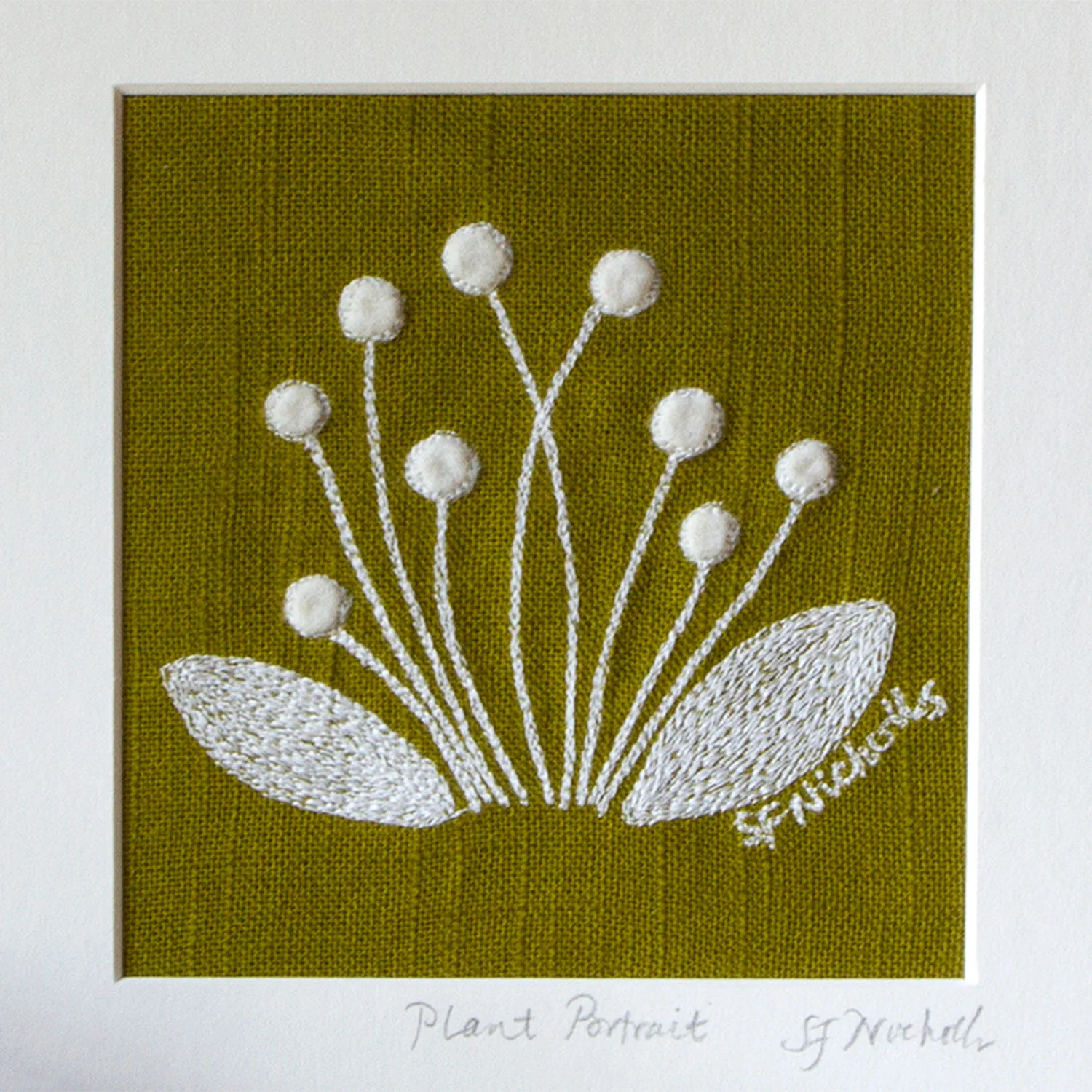 Plant Portrait small green closeup.jpg