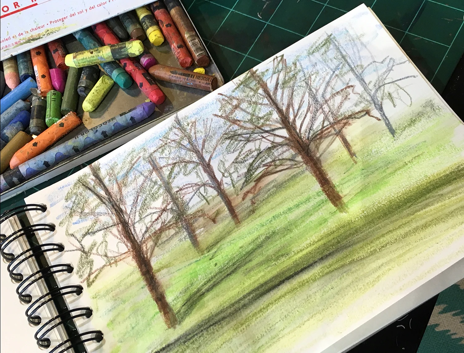 A crayon sketch of trees in the landscape of the Gunby Hall Estate