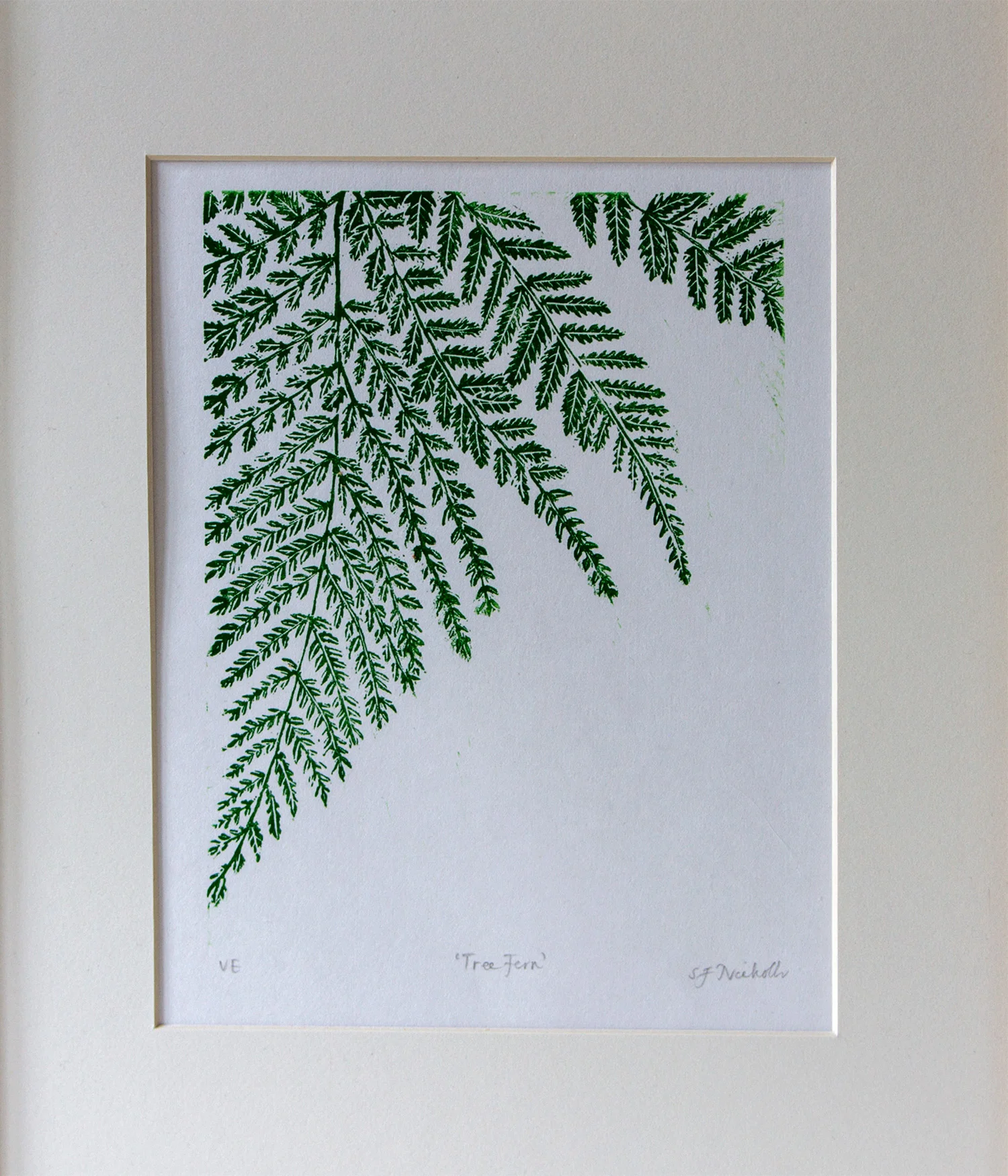 Tree Fern closeup.jpg