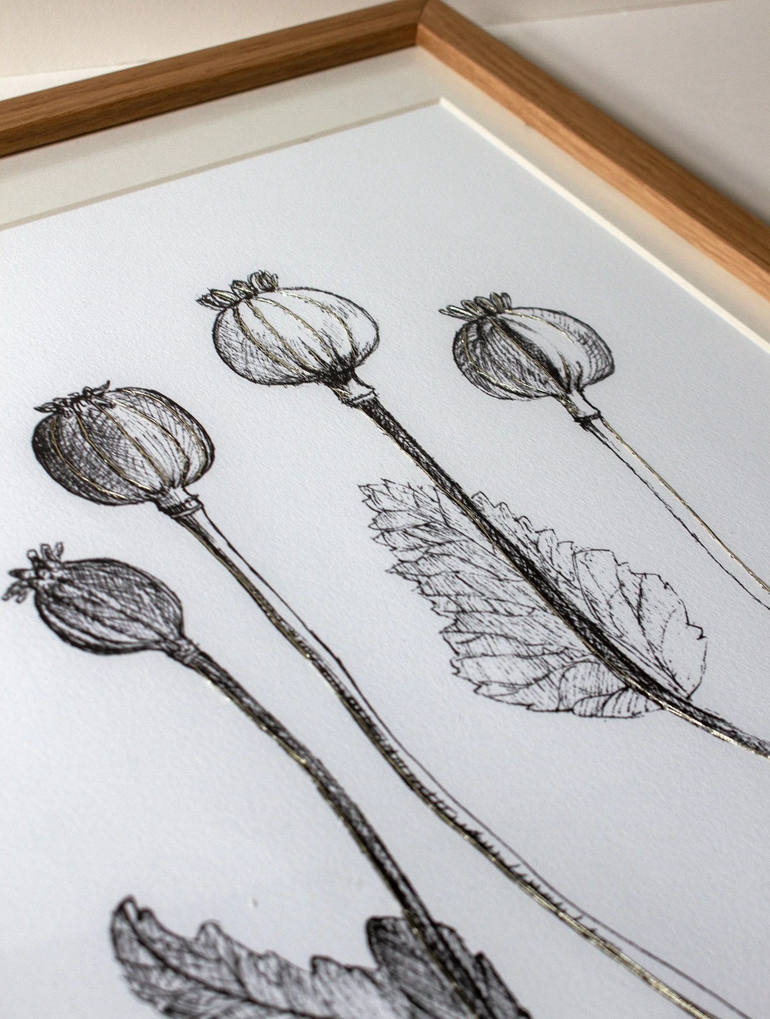 Poppies closeup.jpg
