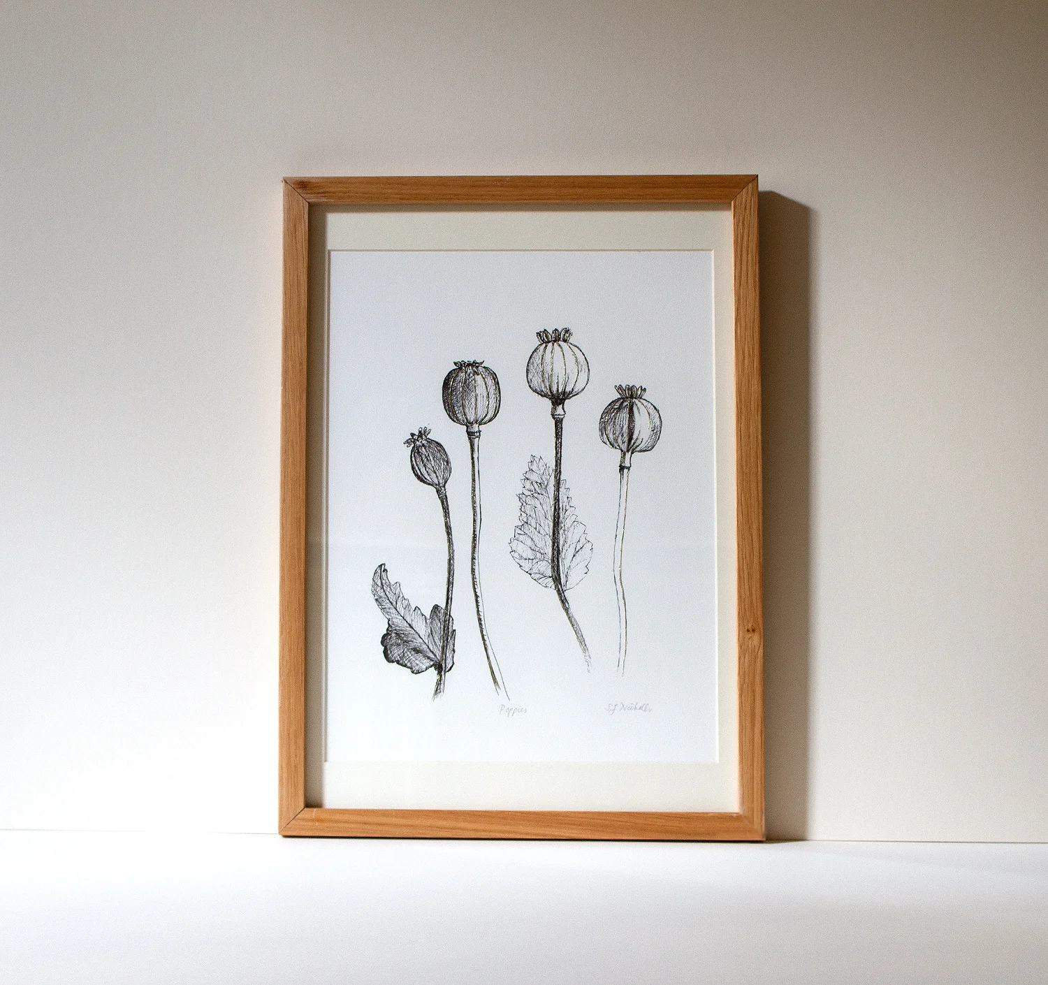Plant Portraits Poppies.jpg