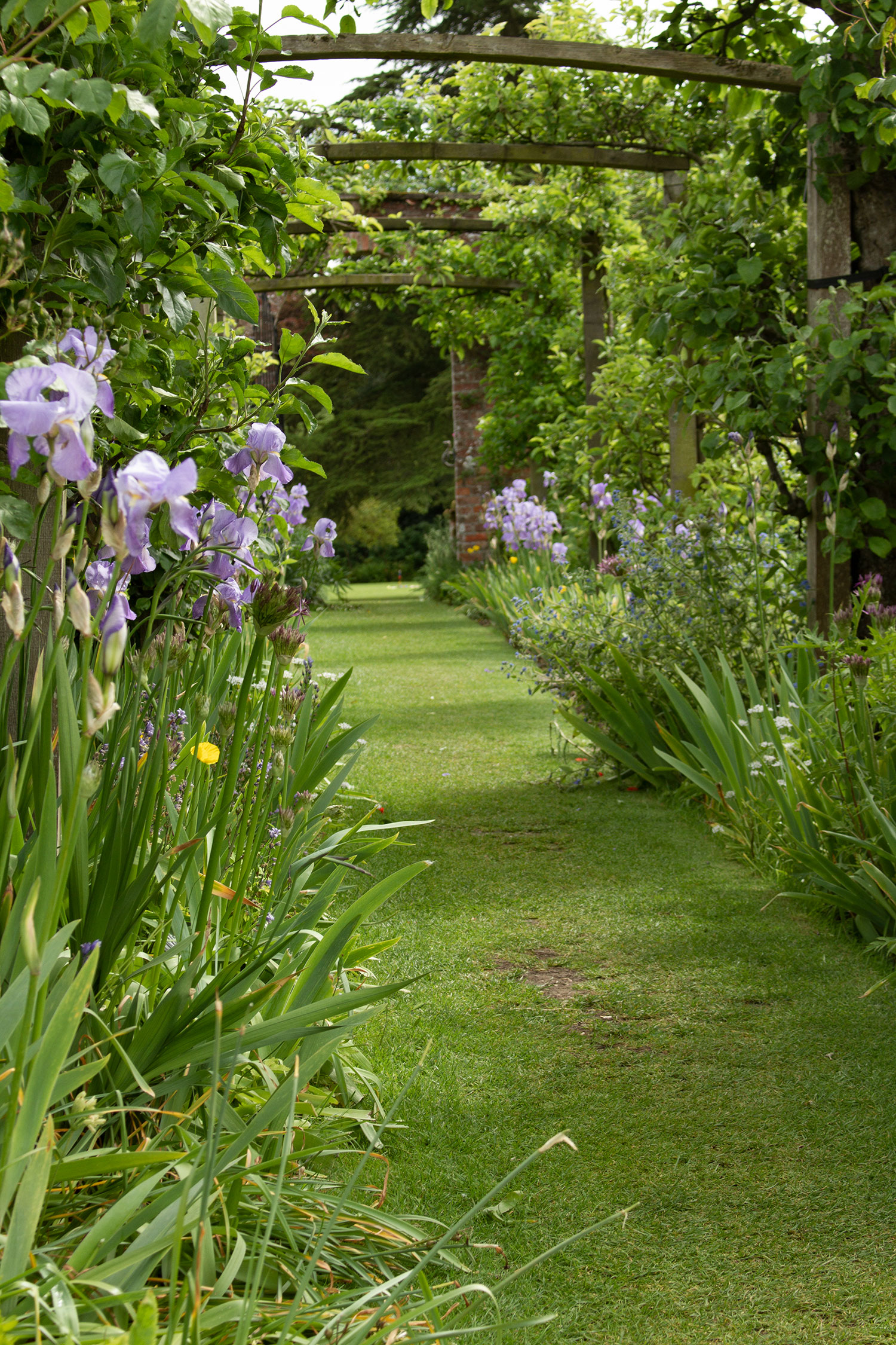 Pergola Garden spring.jpg