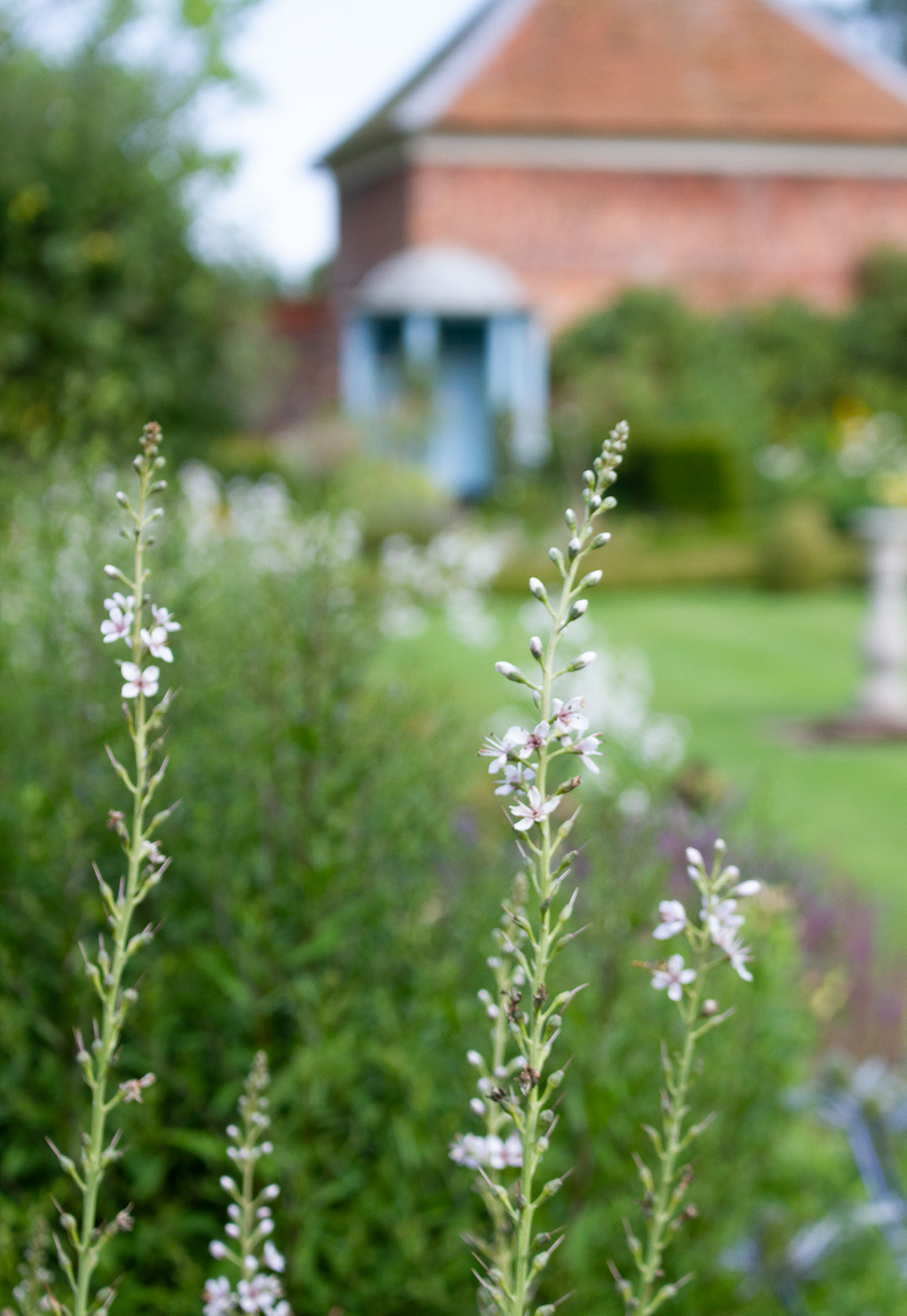 Gunby Garden buildings.jpg