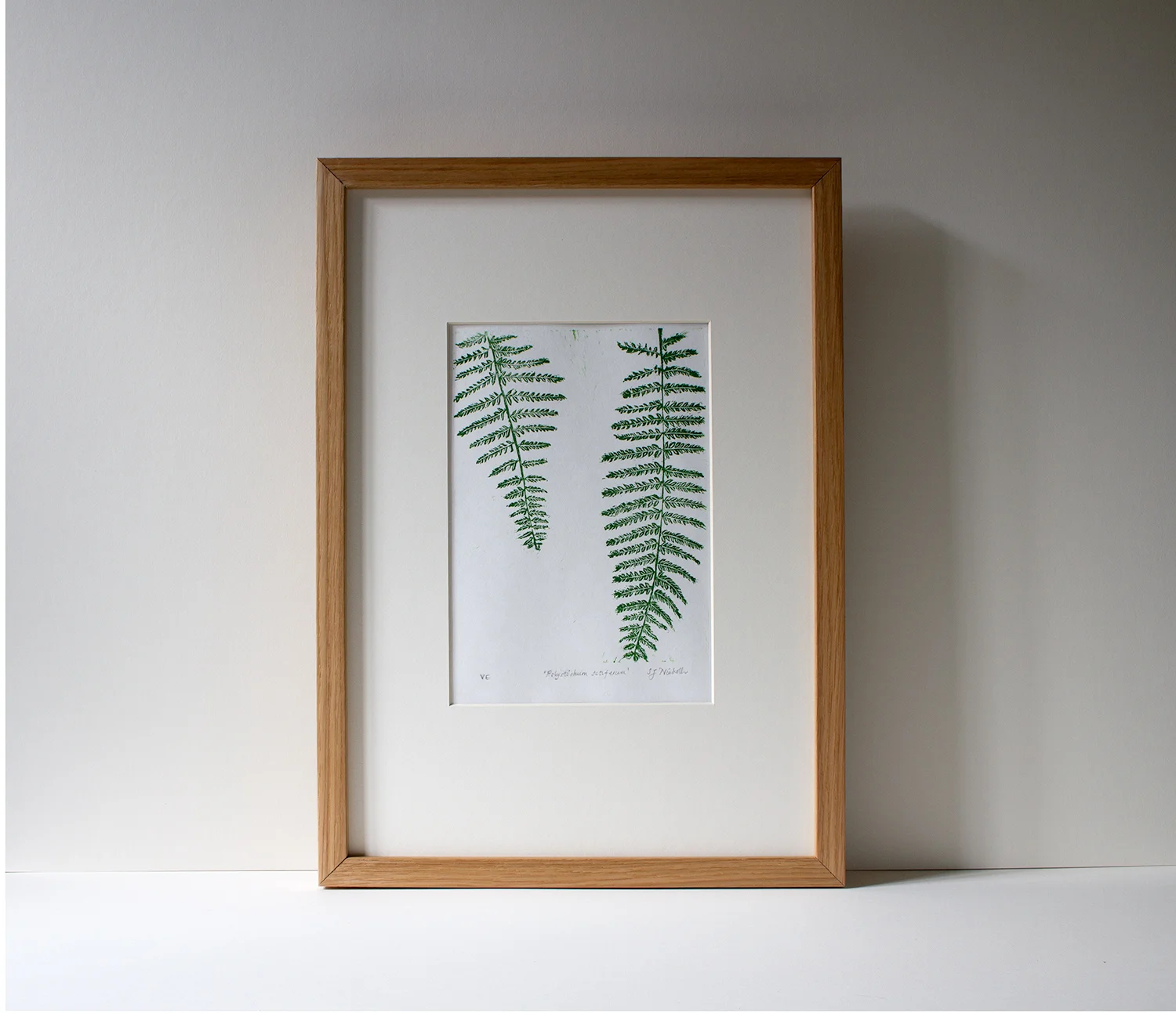 Polystichum setiferum linoprint