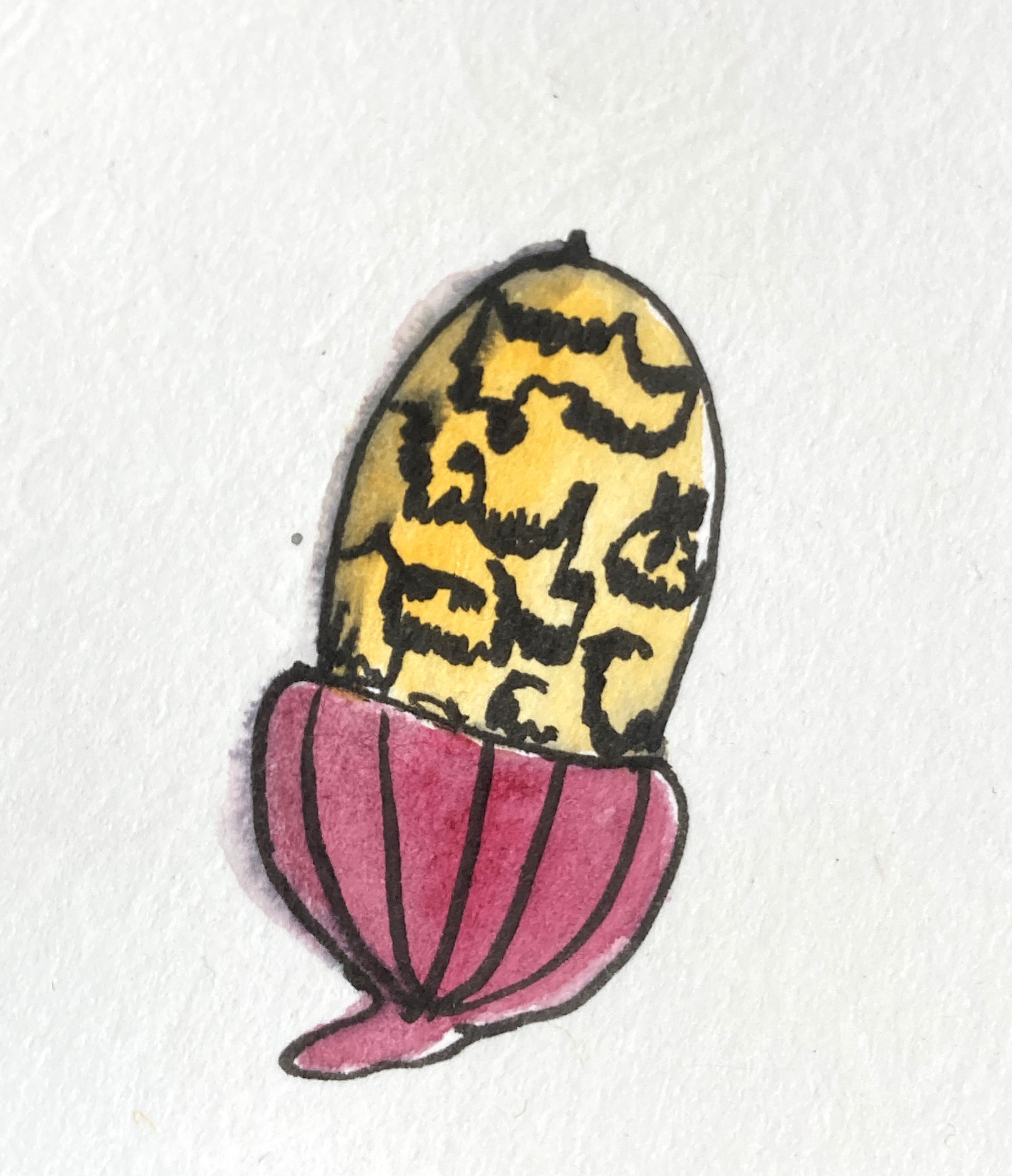 Pink acorn sketch.jpg
