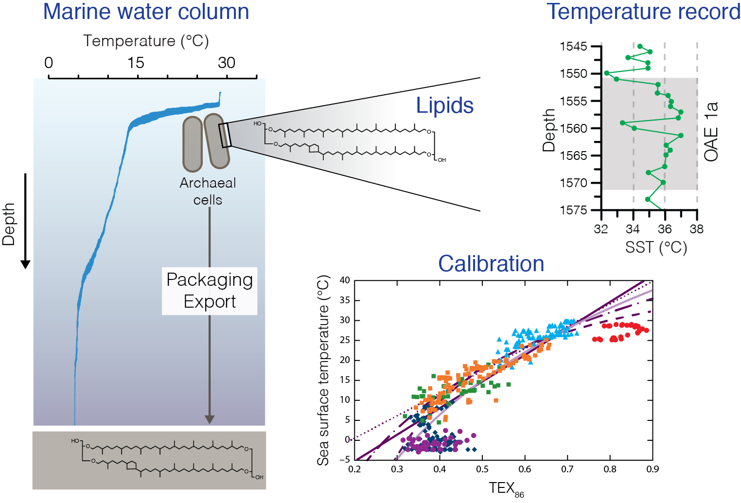 TEX_watercolum_calibration_record.png