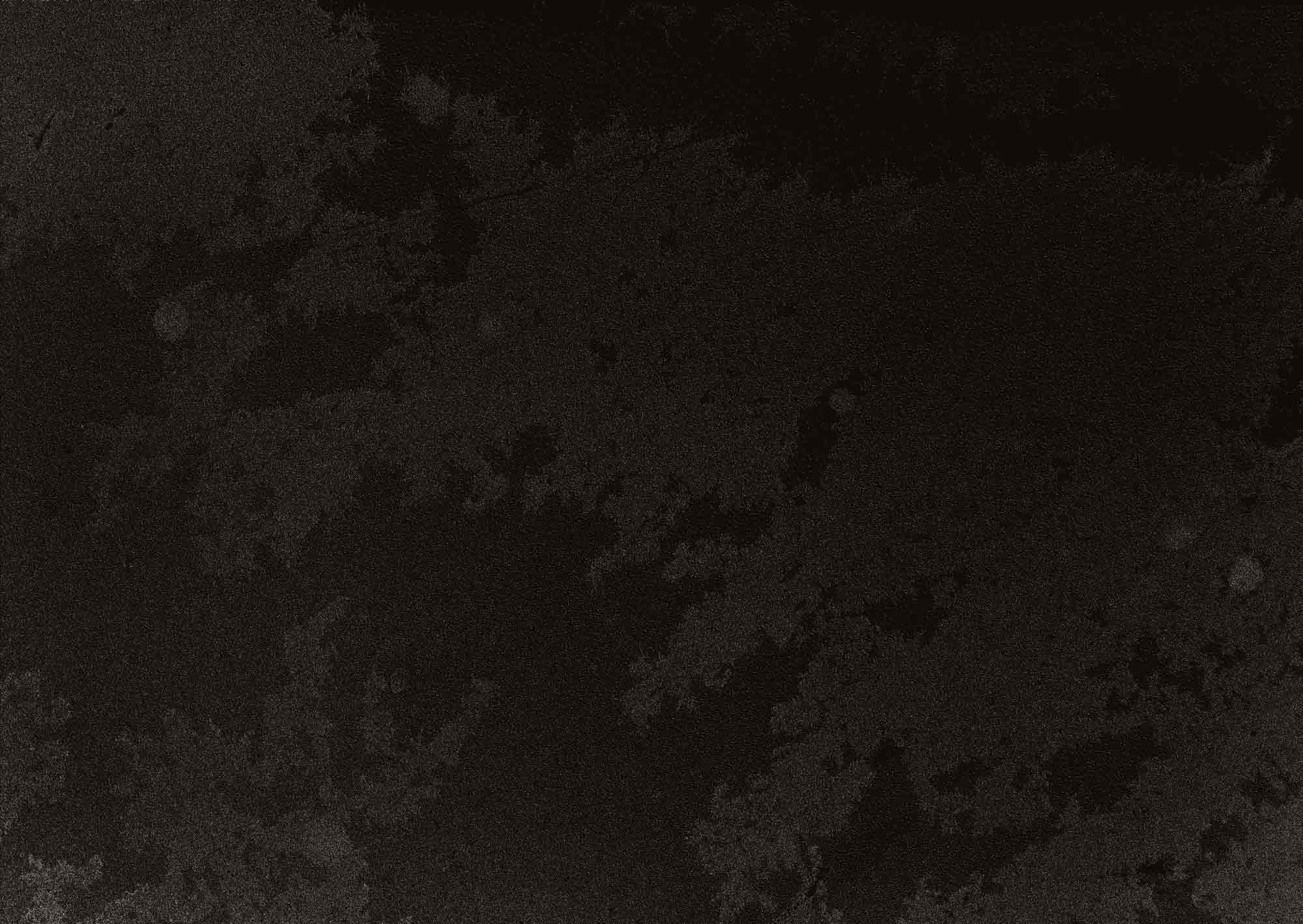 miloandthebull-bg-dark.jpg