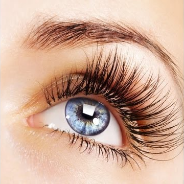 lash.png