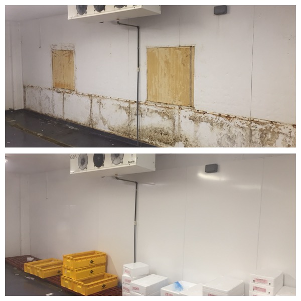 New chiller room wall surface - before &amp; after