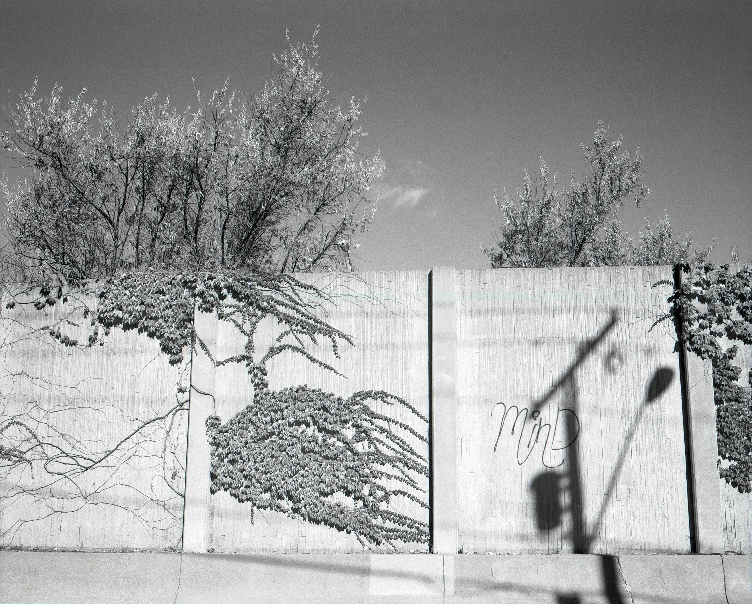 5173 2007-2009 green binder and contact sheets (4).jpg