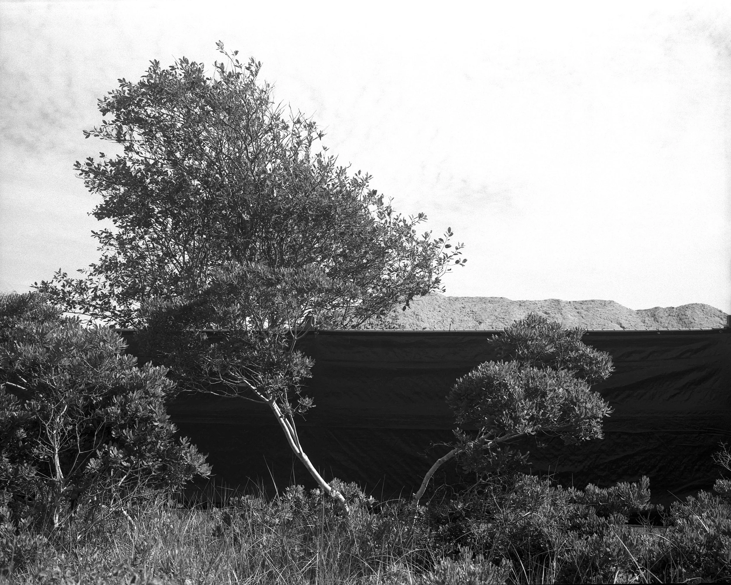 220720082009 green binder (9).jpg