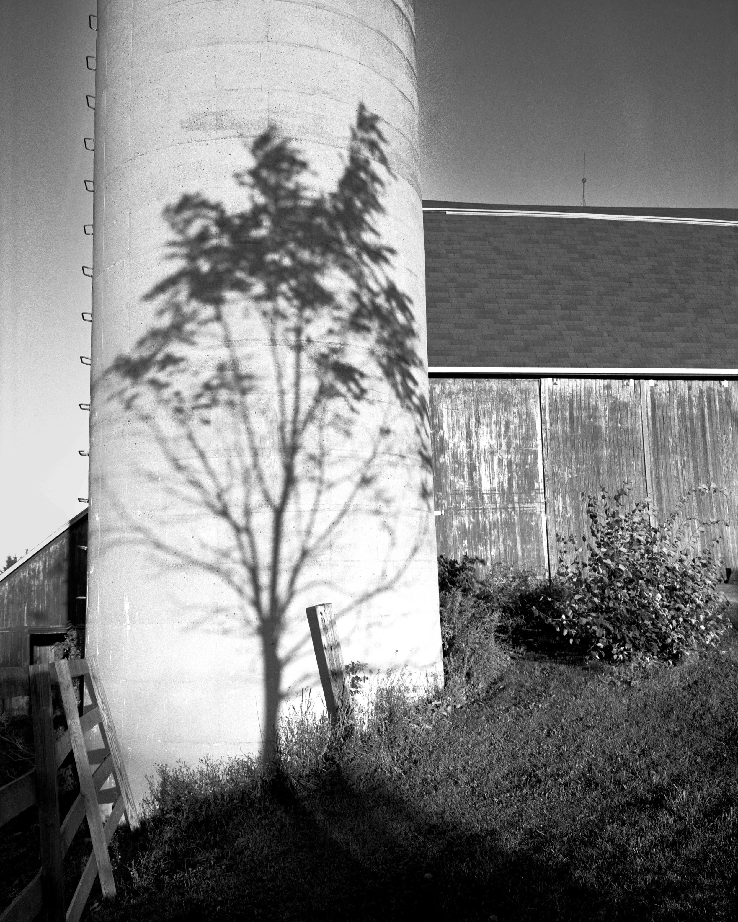 white box of prints tree shadow on silo.jpg