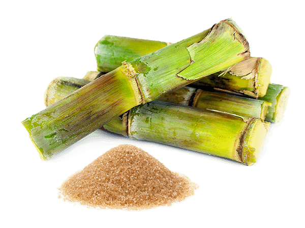 cane_sugar.png