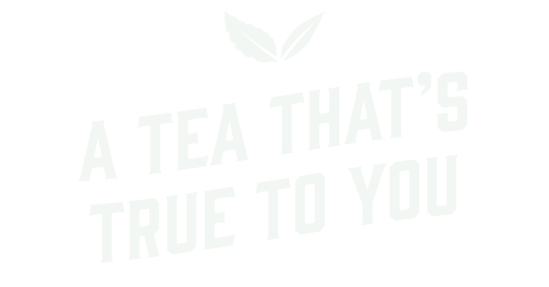 true 2 you.png