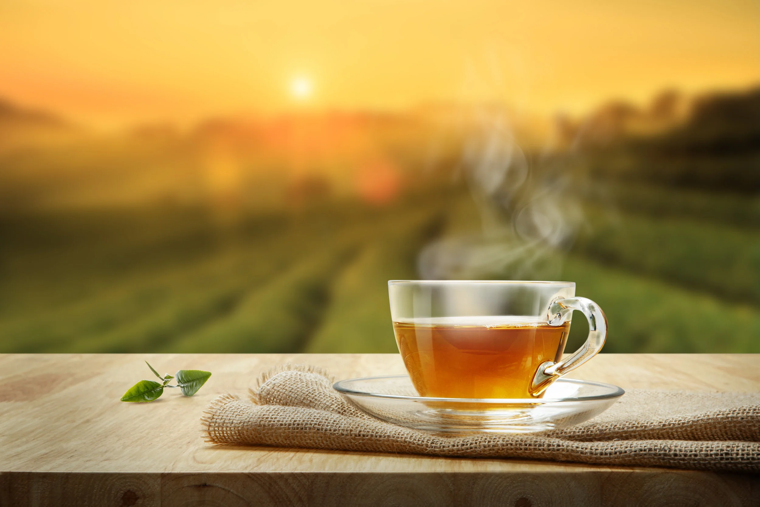 This article was originally published at latestly.com - Written by: Ahmer Shaikh